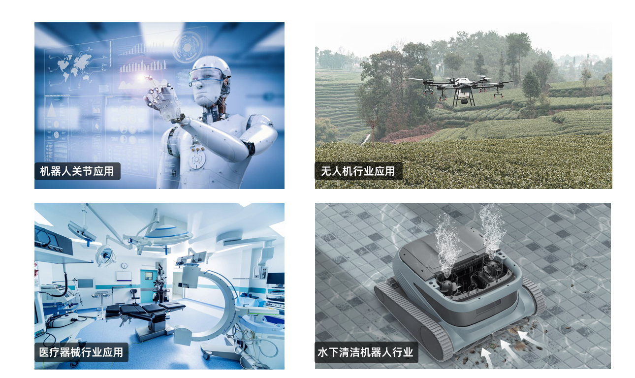 西格馬關節(jié)減速電機(圖1)